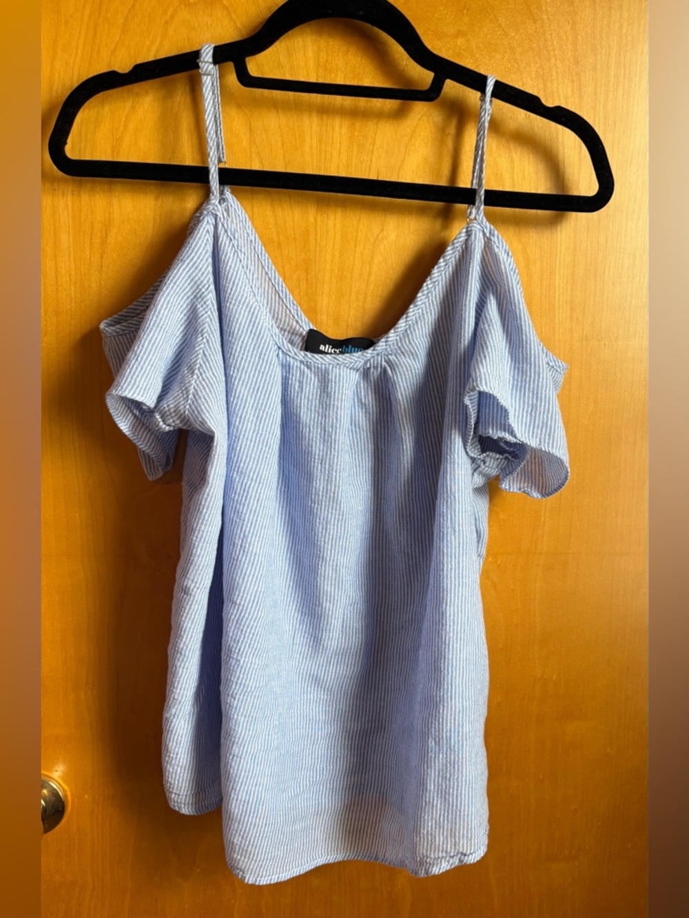 Alice Blue Sheer Off Shoulder Striped Top XXL Blue White Tie Strap Blouse